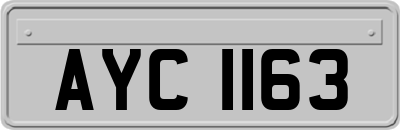 AYC1163