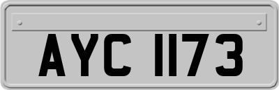 AYC1173