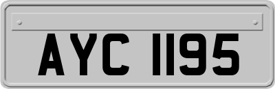 AYC1195