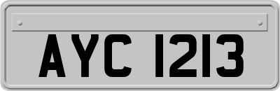 AYC1213