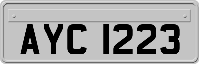 AYC1223