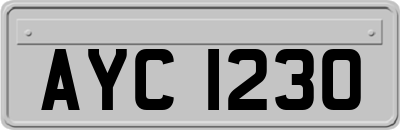AYC1230