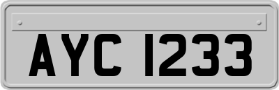 AYC1233