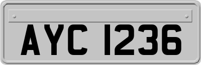 AYC1236