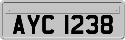 AYC1238