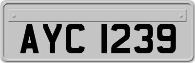 AYC1239