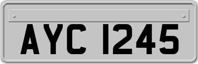 AYC1245