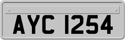 AYC1254