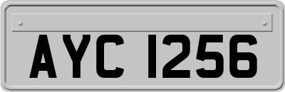 AYC1256