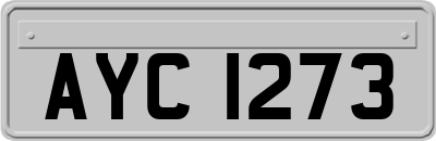 AYC1273