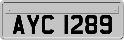 AYC1289