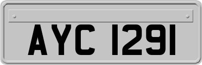 AYC1291