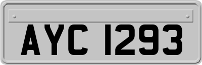 AYC1293