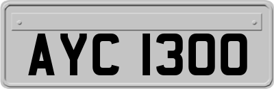 AYC1300