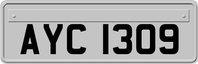 AYC1309