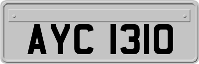 AYC1310