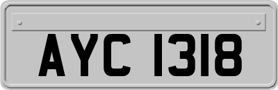 AYC1318