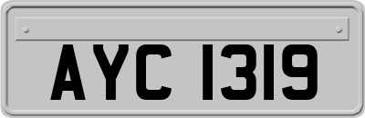 AYC1319