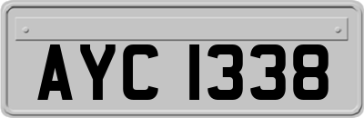 AYC1338