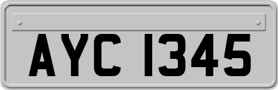 AYC1345