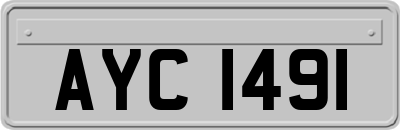 AYC1491