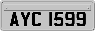 AYC1599