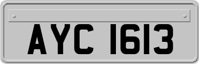 AYC1613