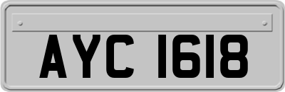 AYC1618