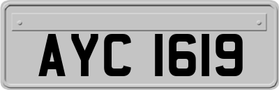 AYC1619