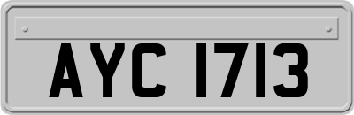 AYC1713