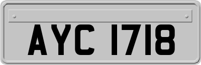 AYC1718