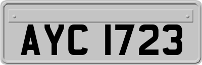 AYC1723