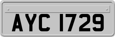 AYC1729
