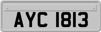 AYC1813