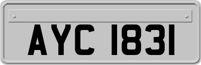 AYC1831