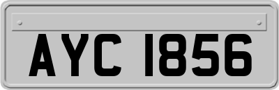 AYC1856