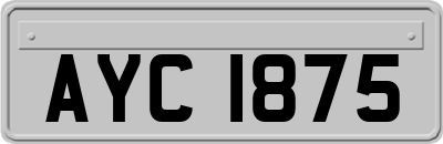 AYC1875