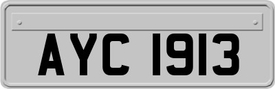 AYC1913