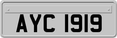 AYC1919