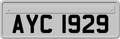 AYC1929