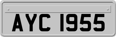 AYC1955