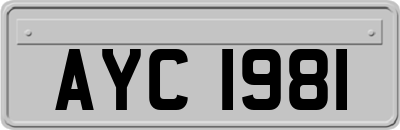 AYC1981