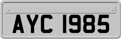 AYC1985