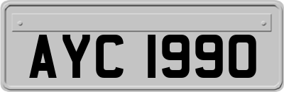 AYC1990