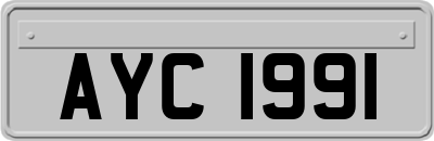 AYC1991