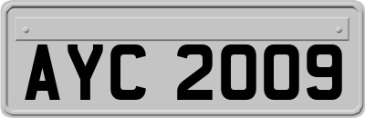 AYC2009
