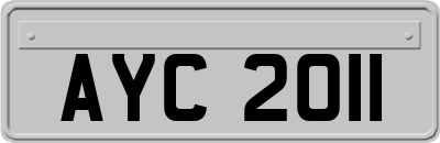 AYC2011