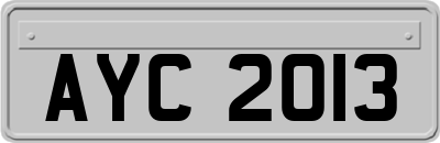 AYC2013
