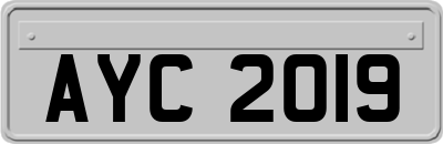 AYC2019