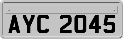 AYC2045